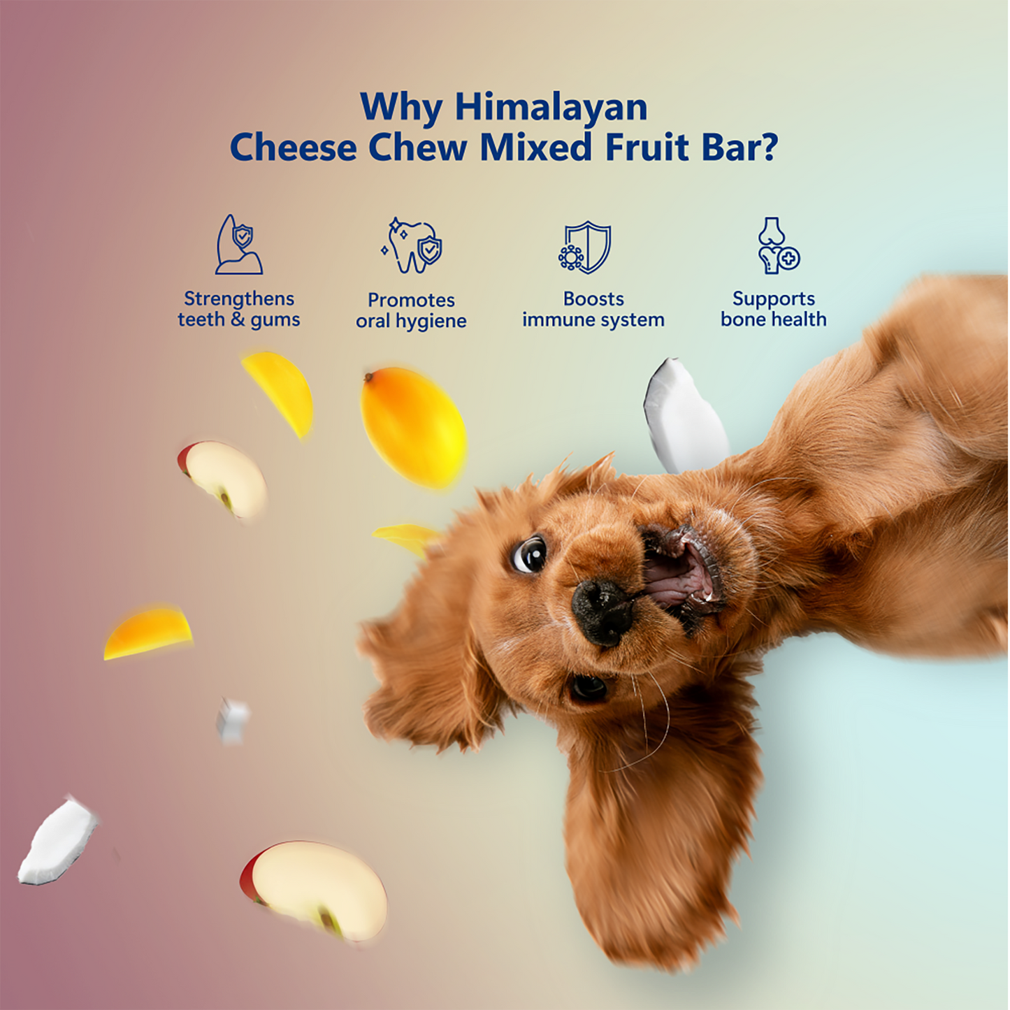 Pawfect Himalayan Cheese Chews with Apple, Mango & Coconut for Dogs | All Natural dental stick | Rich in Protein & Calcium | Grain-free | Long-lasting chew |Pack of 3