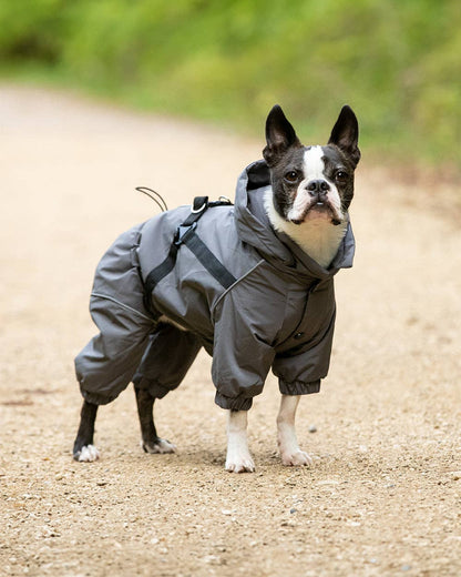 Winter Dog Snowsuit - Grey