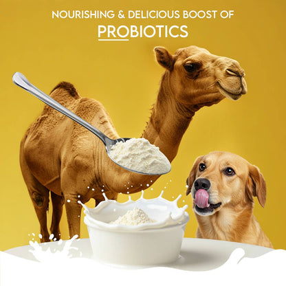 Pawfect Nature's Sip 100% Natural Camel Milk Powder for Dogs & Puppies| Easily Digestible| Source of Vitamins, Minerals, Probiotics| Healthy Topper| Hydration Support