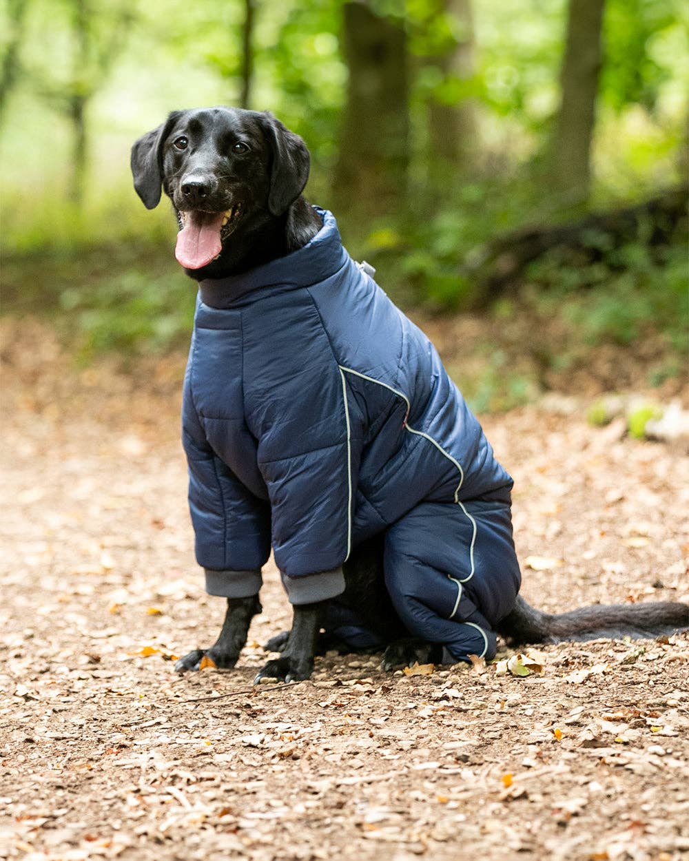Outdoor Winter Dog Suit - Navy