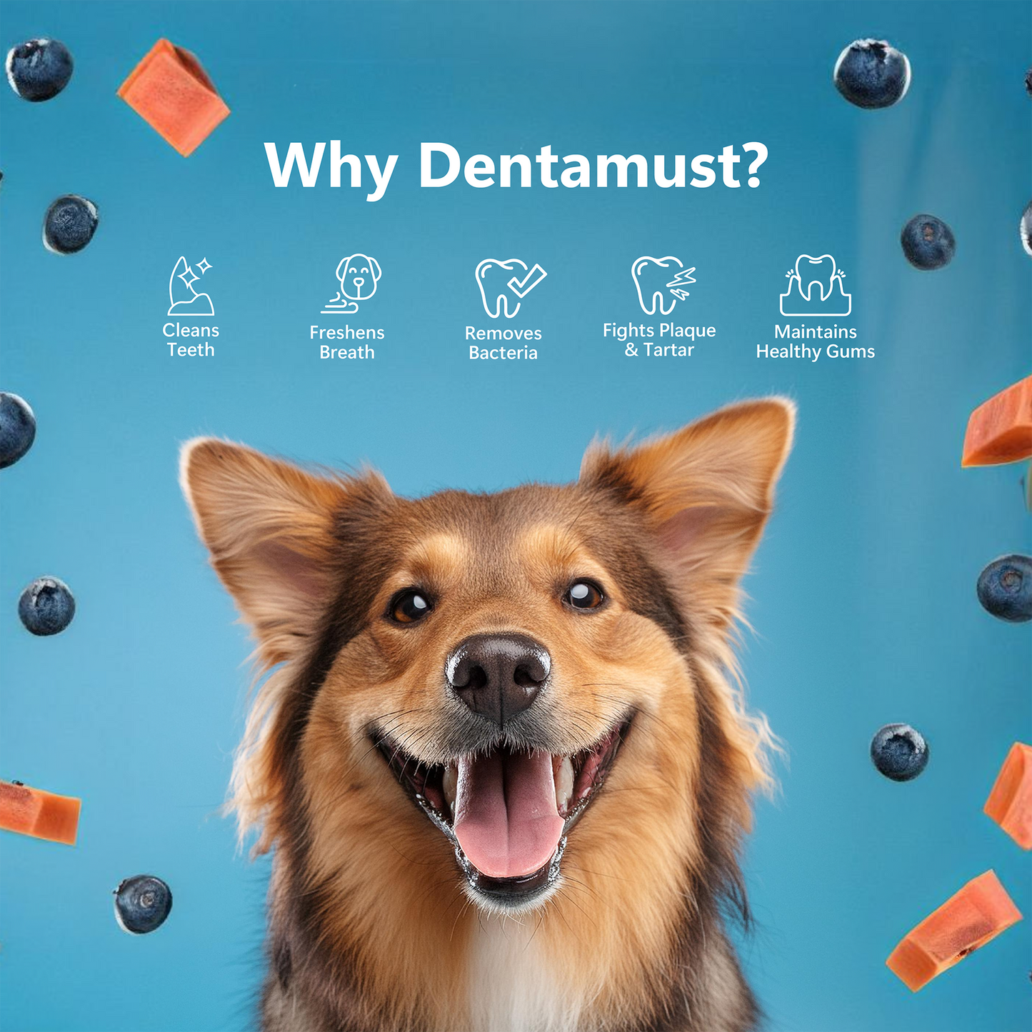 Pawfect Dentamust Himalayan Cheese Chews with Blueberry & Papaya for Dogs|Long lasting dental chews with Superfoods |All Natural, High protein|Grain-free| Pack of 3 for Large Dogs