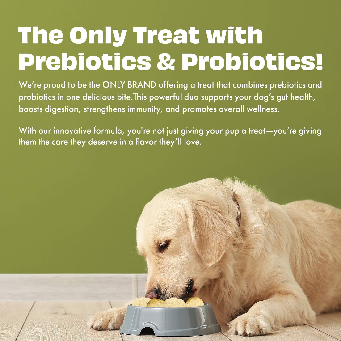 Pawfect Yogurt Melties Pre and Probiotic Dog Treats with Pineapple, Coconut, Banana, Dandelion | Healthy Gut l Low Calories | Grain & Gluten Free | Reward or Training Treats (38g/1.34oz)