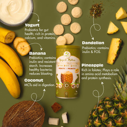 Pawfect Yogurt Melties Pre and Probiotic Dog Treats with Pineapple, Coconut, Banana, Dandelion | Healthy Gut l Low Calories | Grain & Gluten Free | Reward or Training Treats (38g/1.34oz)