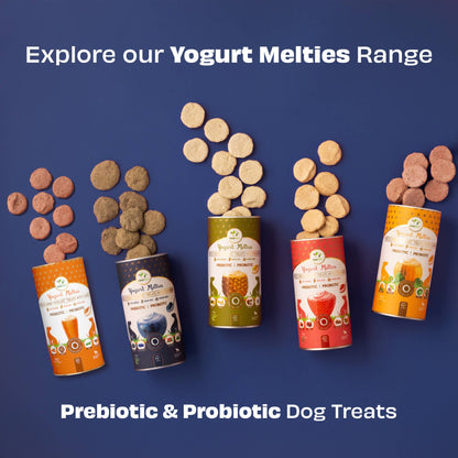 Pawfect Yogurt Melties Pre and Probiotic Dog Treats with Blueberry, Cranberry, Blue Spirulina & Mint | Healthy Gut | Low Calories | Grain & Gluten Free | Reward or Training Treats (38g/1.34oz)