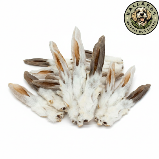 Rabbit Ears with Hair