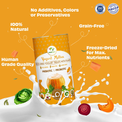 Pawfect Yogurt Melties Pre and Probiotic Dog Treats with Pumpkin, Beetroot, Cabbage & Fennel Seeds | Healthy Gut | Low Calories | Grain & Gluten Free | Reward or Training Treats (38g/1.34oz)