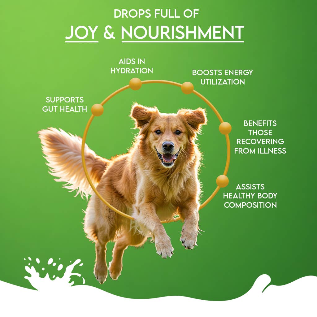Pawfect Nature's Sip 100% Natural Goat Milk Powder for Dogs & Puppies| Easily Digestible| Source of Vitamins, Minerals, Probiotics| Healthy Topper| Hydration Support