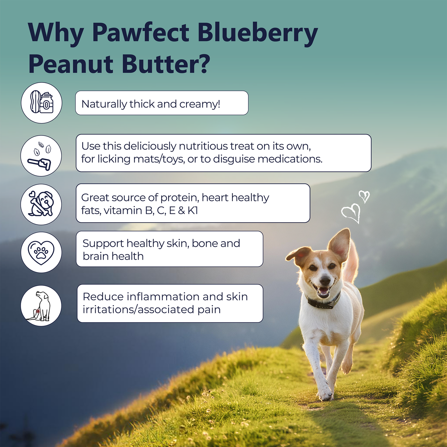 Pawfect Peanut Butter with Blueberries & Hempseeds for Dogs & Puppies | 100% Natural | No Added Sugar, Salt, Palm Oil | No Sweeteners, No Xylitol | Healthy Dog Treat