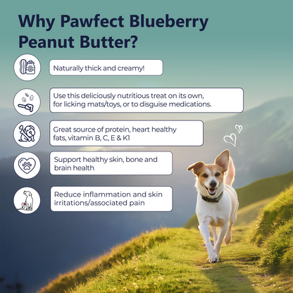 Pawfect Peanut Butter with Blueberries & Hempseeds for Dogs & Puppies | 100% Natural | No Added Sugar, Salt, Palm Oil | No Sweeteners, No Xylitol | Healthy Dog Treat