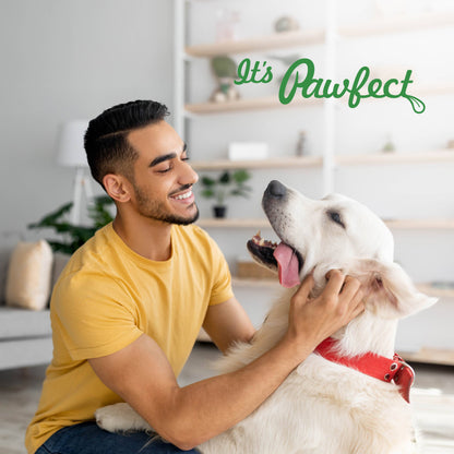 Pawfect Nature's Sip Goat Milk Powder with Pumpkin, Apple, Cinnamon & Pumpkin Seeds| Easily Digestible| Pre & Probiotics| Healthy Topper| Hydration Support