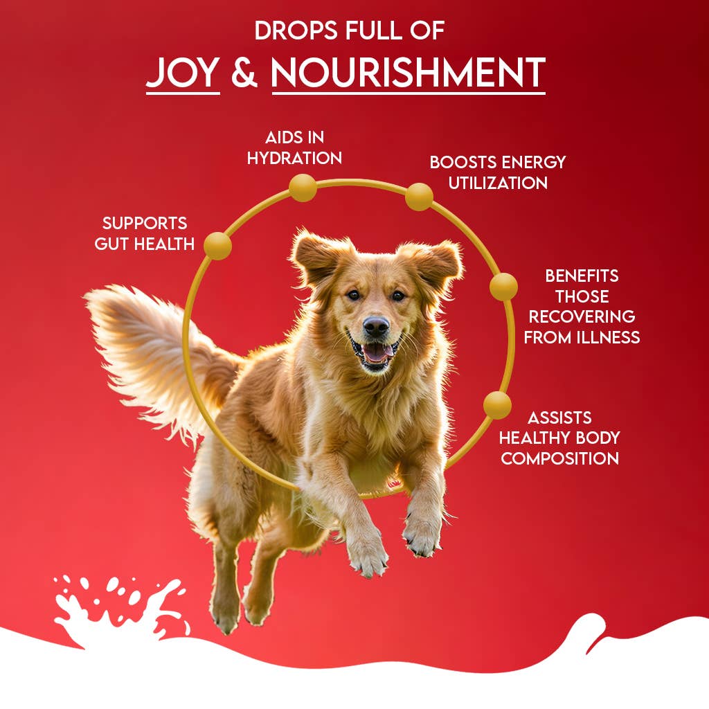 Pawfect Nature's Sip Goat Milk Powder with Pomegranate & Cranberries| Easily Digestible| Pre & Probiotics| Healthy Topper| Hydration Support