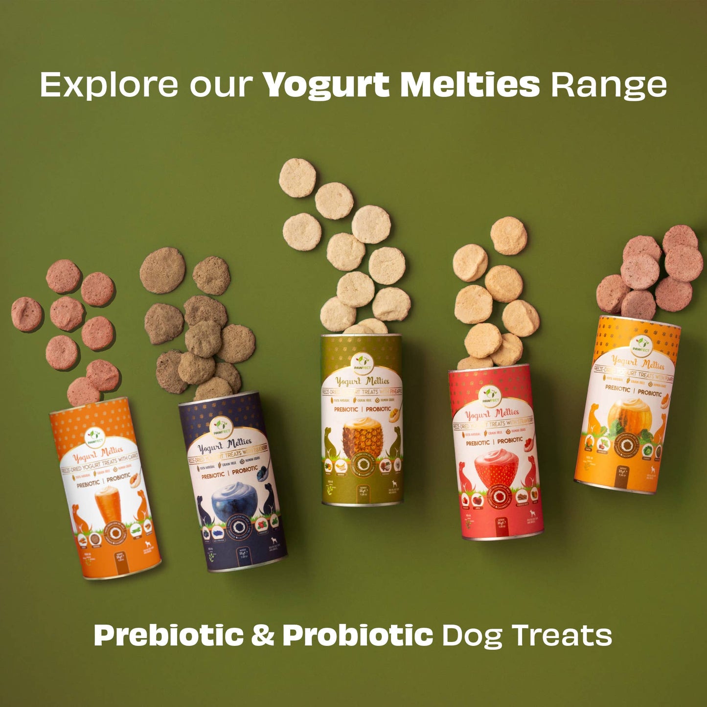Pawfect Yogurt Melties Pre and Probiotic Dog Treats with Pineapple, Coconut, Banana, Dandelion | Healthy Gut l Low Calories | Grain & Gluten Free | Reward or Training Treats (38g/1.34oz)