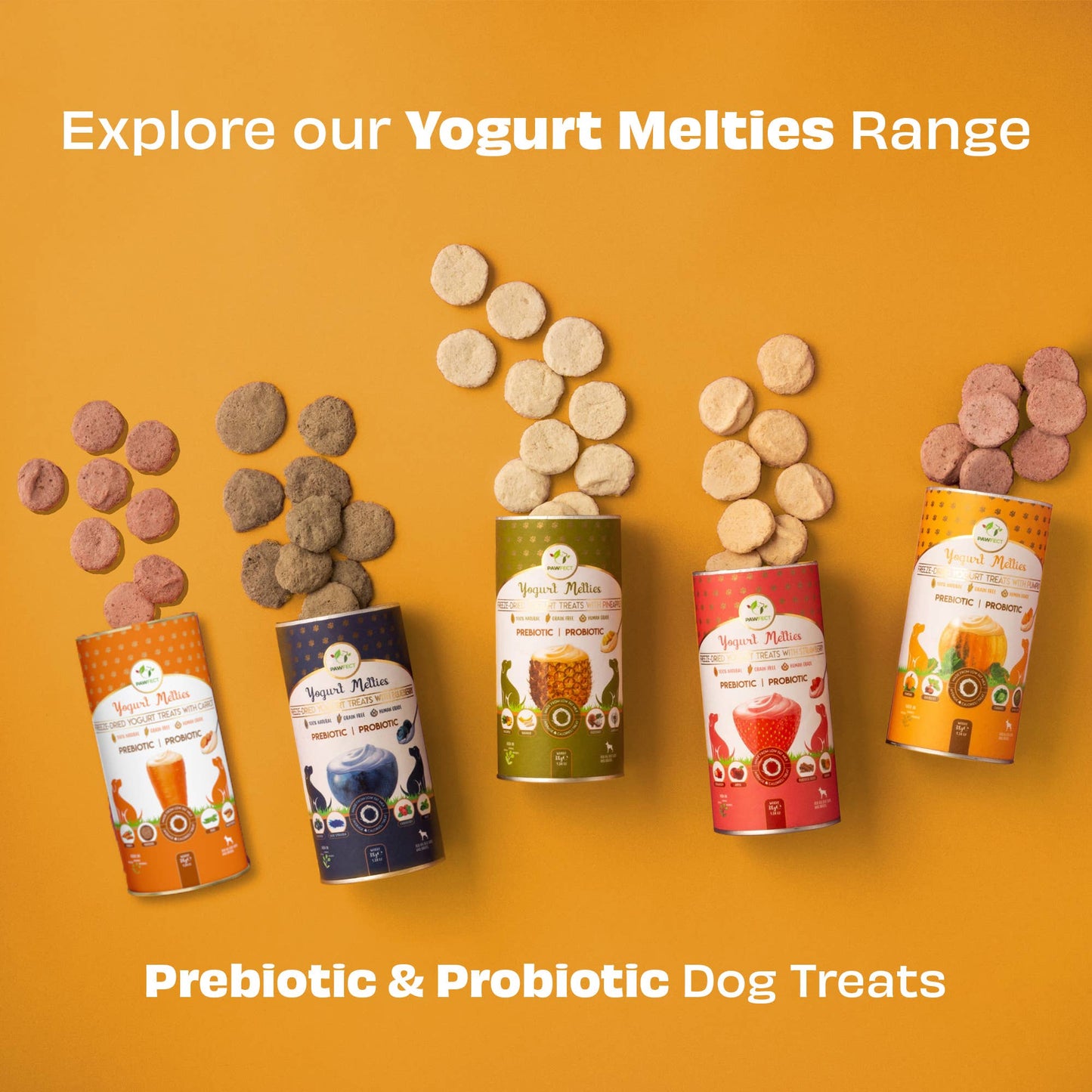 Pawfect Yogurt Melties Pre and Probiotic Dog Treats with Pumpkin, Beetroot, Cabbage & Fennel Seeds | Healthy Gut | Low Calories | Grain & Gluten Free | Reward or Training Treats (38g/1.34oz)