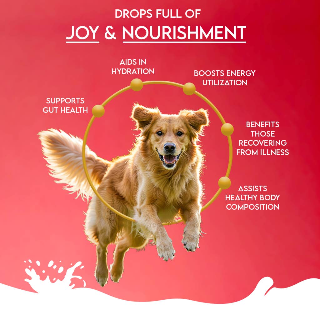 Pawfect Nature's Sip Camel Milk Powder with Apple, Coconut, Beetroot & Mint for dogs | Easily Digestible| Pre & Probiotics| Healthy Topper| Low Glycemic| Hydration Support