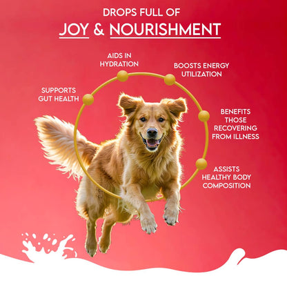 Pawfect Nature's Sip Camel Milk Powder with Apple, Coconut, Beetroot & Mint for dogs | Easily Digestible| Pre & Probiotics| Healthy Topper| Low Glycemic| Hydration Support