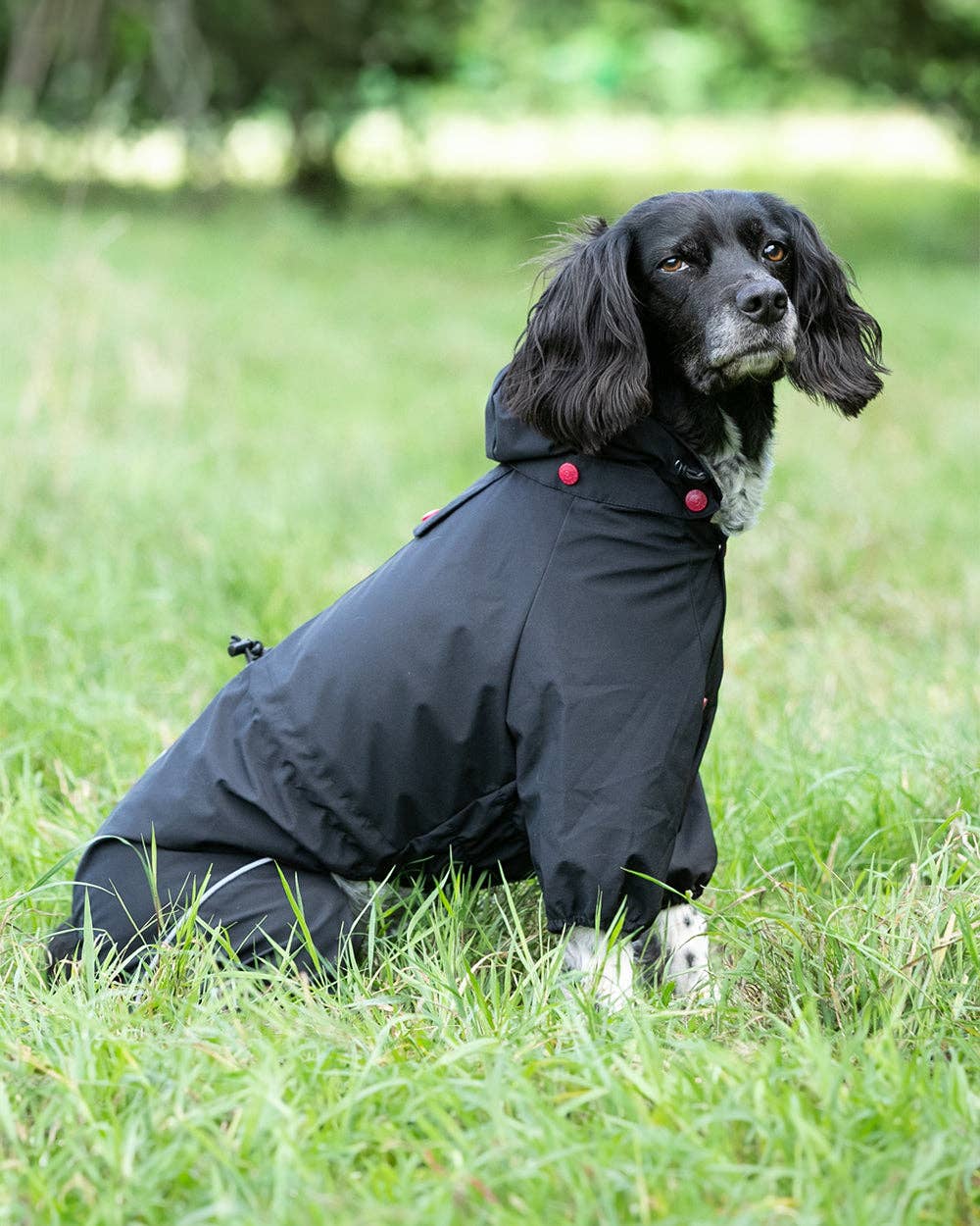Reflective Hooded Dog Overalls - Black