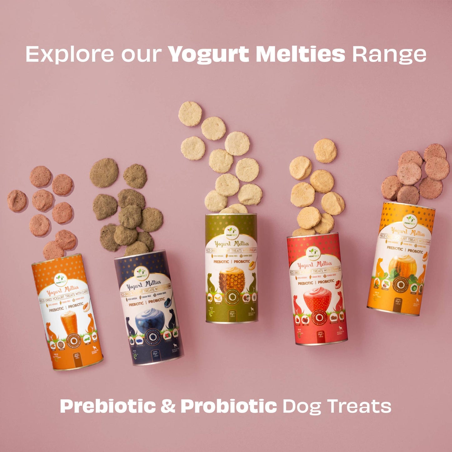 Pawfect Yogurt Melties Pre and Probiotic Dog Treats with Strawberry, Apple, Papaya & Burdock Root | Healthy Gut | Low Calories | Grain & Gluten Free | Reward or Training Treats (38g/1.34oz)