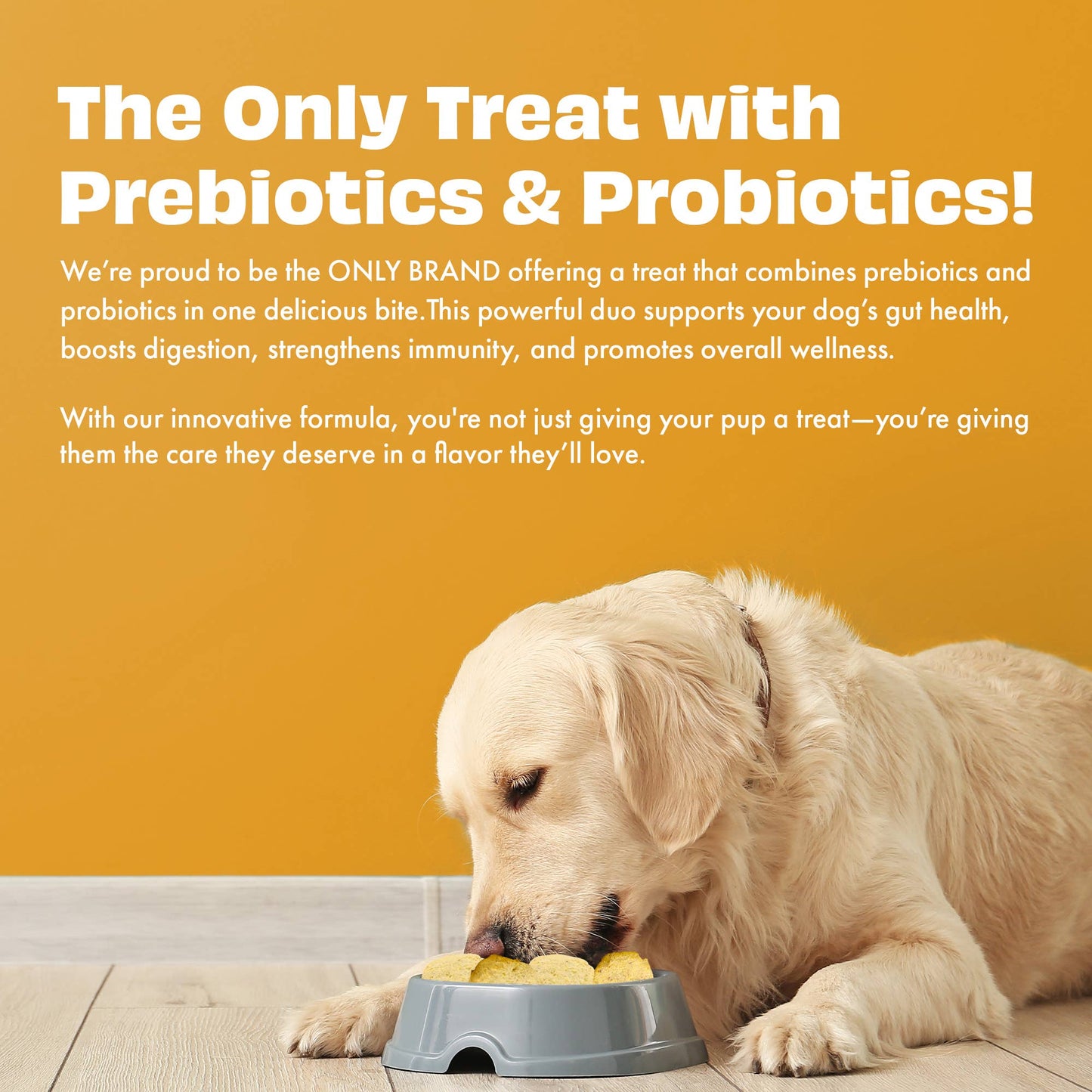 Pawfect Yogurt Melties Pre and Probiotic Dog Treats with Pumpkin, Beetroot, Cabbage & Fennel Seeds | Healthy Gut | Low Calories | Grain & Gluten Free | Reward or Training Treats (38g/1.34oz)