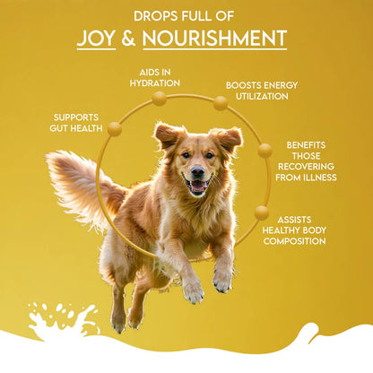 Pawfect Nature's Sip 100% Natural Camel Milk Powder for Dogs & Puppies| Easily Digestible| Source of Vitamins, Minerals, Probiotics| Healthy Topper| Hydration Support
