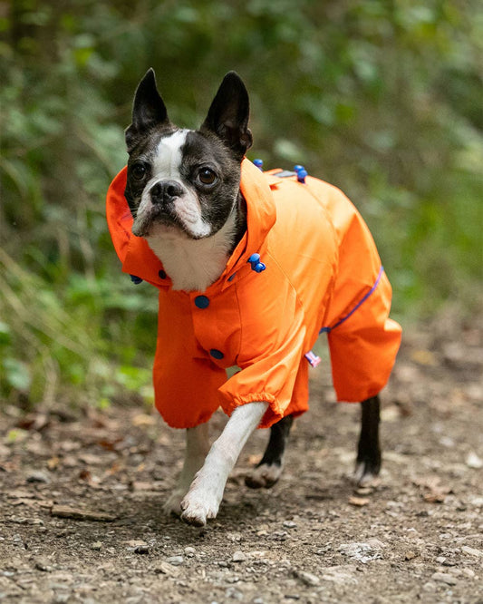 Reflective Hooded Dog Overalls - Neon Orange