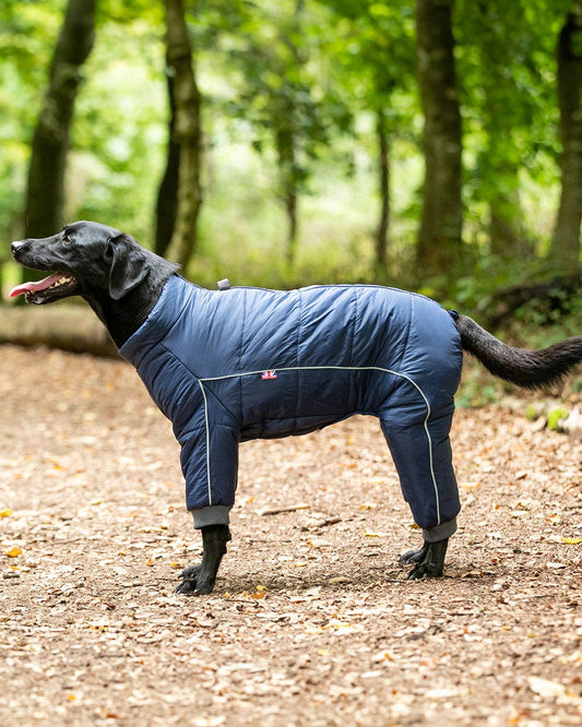 Outdoor Winter Dog Suit - Navy