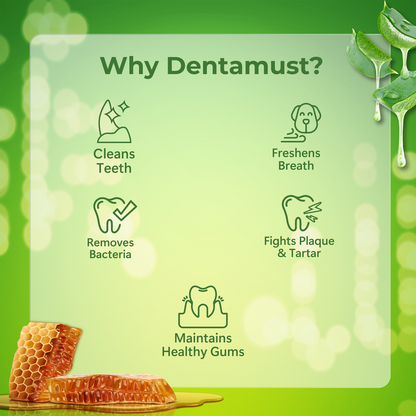 Pawfect Dentamust Himalayan Cheese Chews with Aloe, Honey & Green Tea for Dogs| Long lasting dental chew with Superfoods |All Natural, High protein, Grain-free| Pack of 3 for Large Dogs