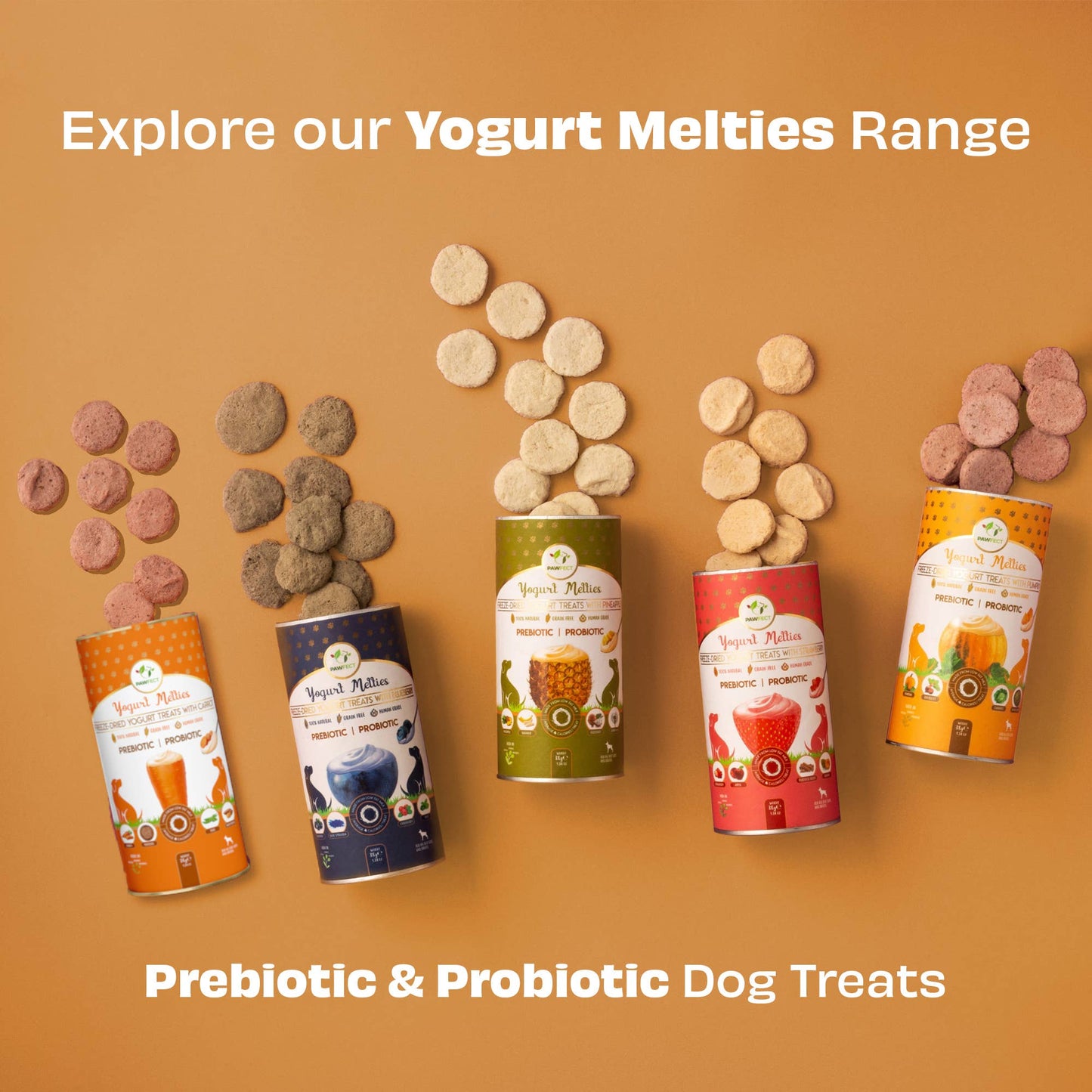 Pawfect Yogurt Melties Pre and Probiotic Dog Treats with Carrot, Flaxseed, Pea & Sweet Potato | Healthy Gut | Low Calories | Grain & Gluten Free | Reward or Training Treats (38g/1.34oz)