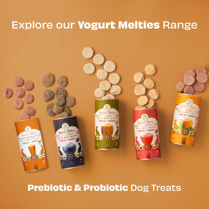 Pawfect Yogurt Melties Pre and Probiotic Dog Treats with Carrot, Flaxseed, Pea & Sweet Potato | Healthy Gut | Low Calories | Grain & Gluten Free | Reward or Training Treats (38g/1.34oz)