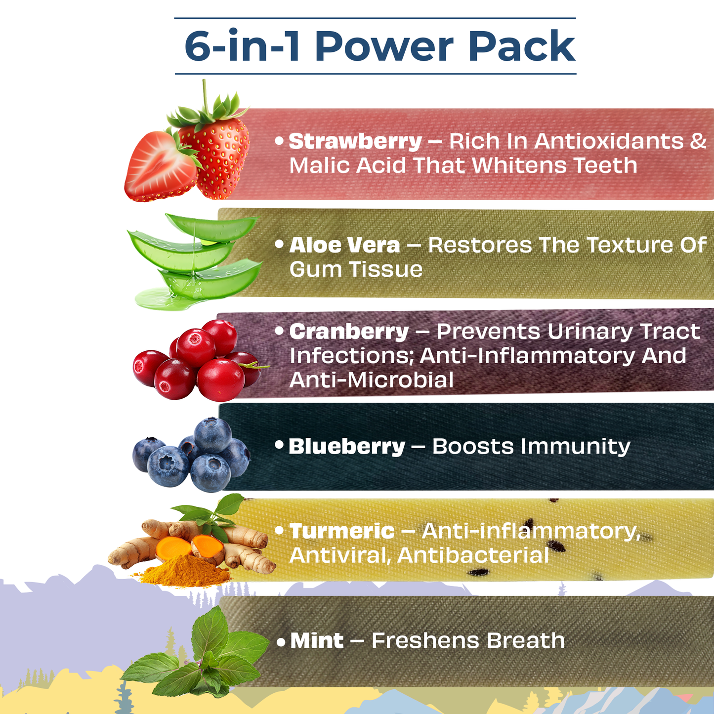 Pawfect Himalayan Cheese Chew for Medium Dogs | Variety Pack of 6 | Strawberry, Blueberry, Cranberry, Aloe, Turmeric, Mint |Grain-free, All Natural long-lasting dental chews(390g/13.76oz)