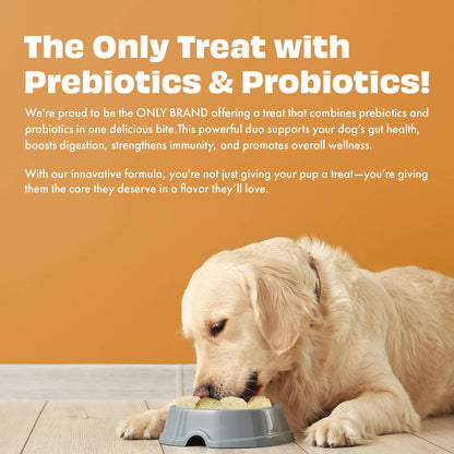 Pawfect Yogurt Melties Pre and Probiotic Dog Treats with Carrot, Flaxseed, Pea & Sweet Potato | Healthy Gut | Low Calories | Grain & Gluten Free | Reward or Training Treats (38g/1.34oz)