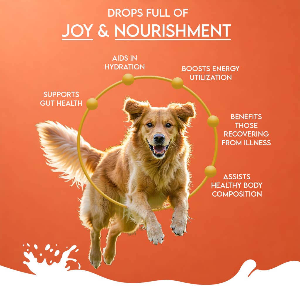 Pawfect Nature's Sip Camel Milk Powder with Papaya, Banana, Broccoli & Flaxseeds| Easily Digestible| Pre & Probiotics| Healthy Topper| Low Glycemic| Hydration Support