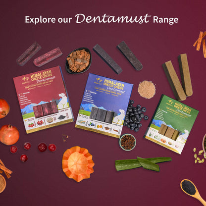 Pawfect Dentamust Himalayan Cheese Chew with Cranberry & Pomegranate for Dogs|Long lasting dental chews with Superfoods |All Natural, High protein|Grain-free | Pack of 3 for Large Dogs