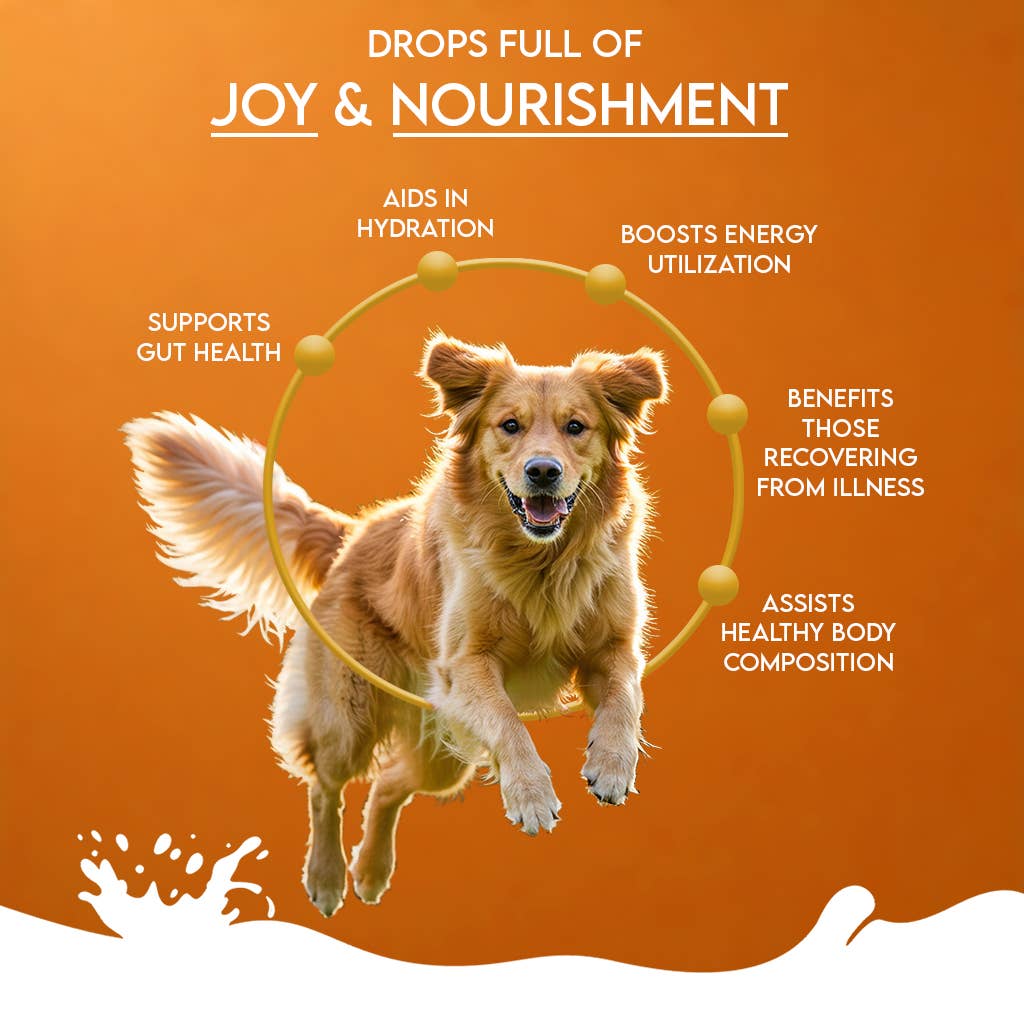 Pawfect Nature's Sip Goat Milk Powder with Pumpkin, Apple, Cinnamon & Pumpkin Seeds| Easily Digestible| Pre & Probiotics| Healthy Topper| Hydration Support