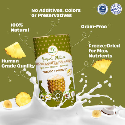 Pawfect Yogurt Melties Pre and Probiotic Dog Treats with Pineapple, Coconut, Banana, Dandelion | Healthy Gut l Low Calories | Grain & Gluten Free | Reward or Training Treats (38g/1.34oz)