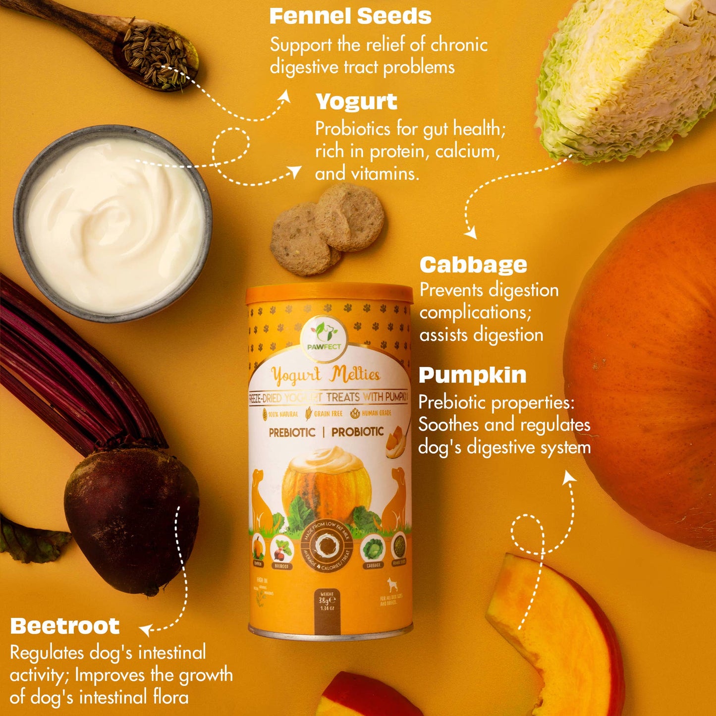 Pawfect Yogurt Melties Pre and Probiotic Dog Treats with Pumpkin, Beetroot, Cabbage & Fennel Seeds | Healthy Gut | Low Calories | Grain & Gluten Free | Reward or Training Treats (38g/1.34oz)