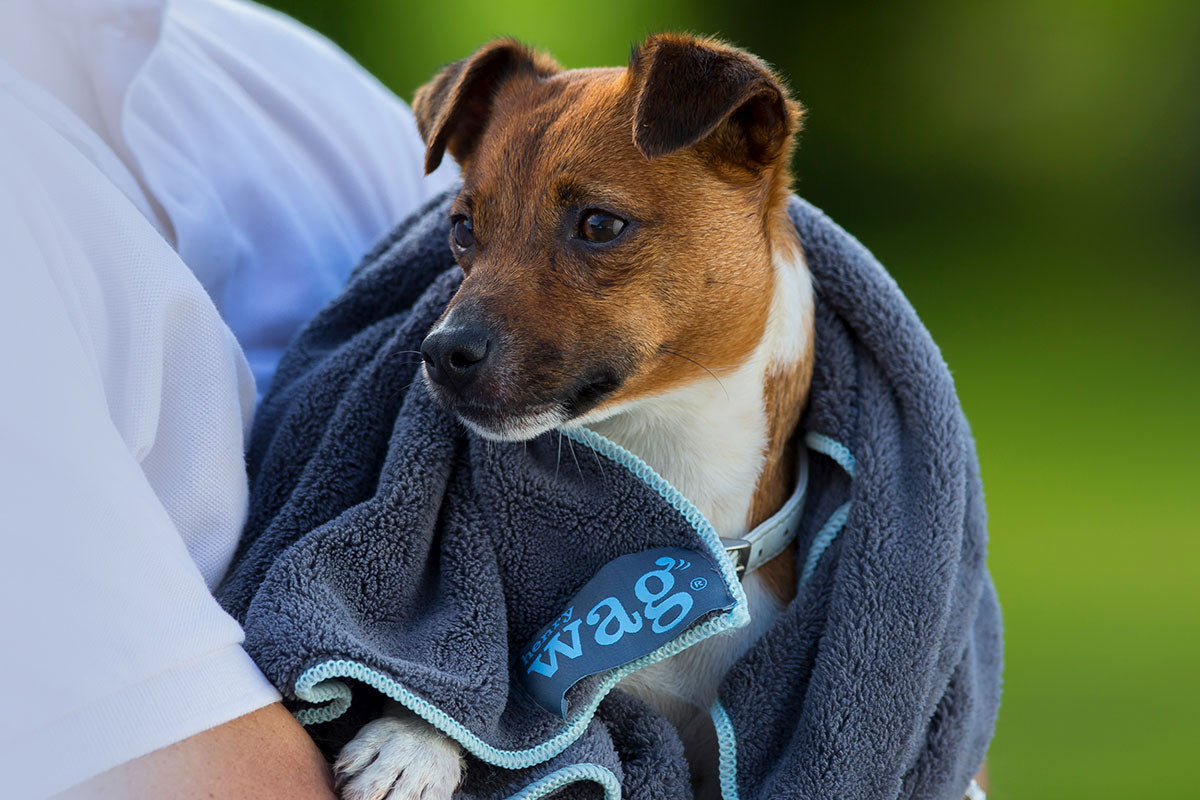 Henry Wag Pet Microfibre Towel, Available in 3 Colours