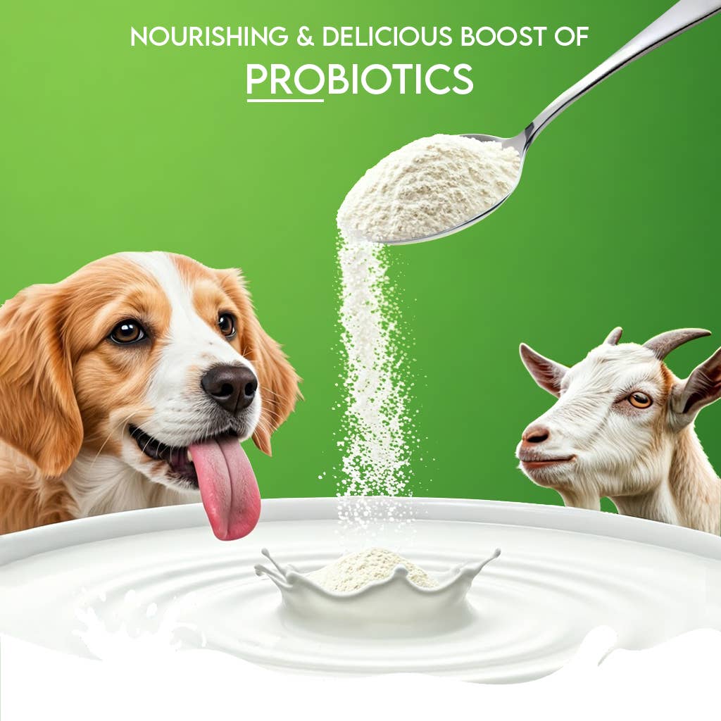 Pawfect Nature's Sip 100% Natural Goat Milk Powder for Dogs & Puppies| Easily Digestible| Source of Vitamins, Minerals, Probiotics| Healthy Topper| Hydration Support