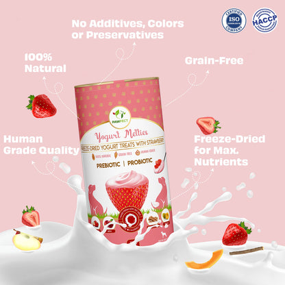 Pawfect Yogurt Melties Pre and Probiotic Dog Treats with Strawberry, Apple, Papaya & Burdock Root | Healthy Gut | Low Calories | Grain & Gluten Free | Reward or Training Treats (38g/1.34oz)