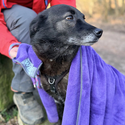 Henry Wag Pet Microfibre Towel, Available in 3 Colours
