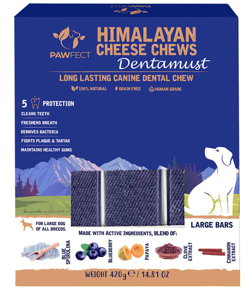 Pawfect Dentamust Himalayan Cheese Chews with Blueberry & Papaya for Dogs|Long lasting dental chews with Superfoods |All Natural, High protein|Grain-free| Pack of 3 for Large Dogs