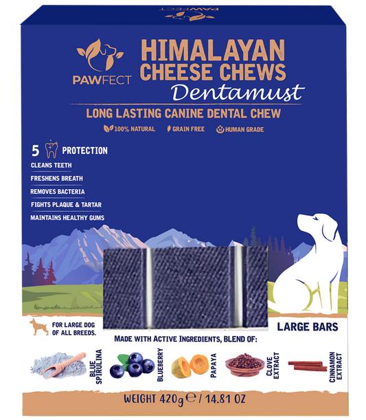 Pawfect Dentamust Himalayan Cheese Chews with Blueberry & Papaya for Dogs|Long lasting dental chews with Superfoods |All Natural, High protein|Grain-free| Pack of 3 for Large Dogs