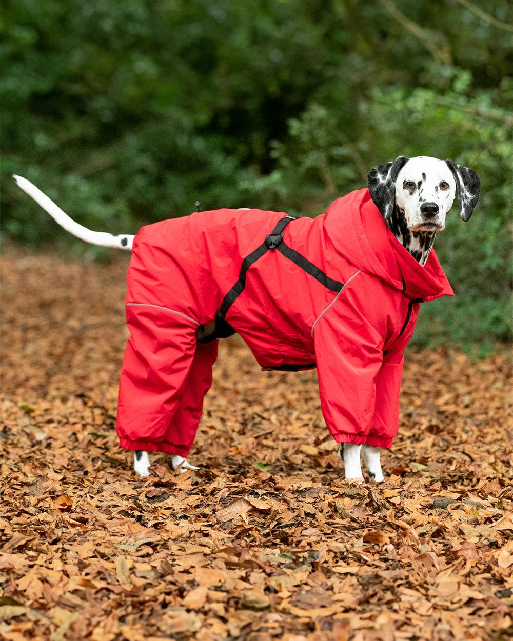 Winter Dog Snowsuit - Red