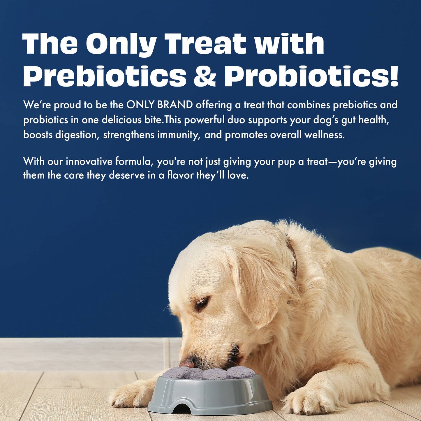 Pawfect Yogurt Melties Pre and Probiotic Dog Treats with Blueberry, Cranberry, Blue Spirulina & Mint | Healthy Gut | Low Calories | Grain & Gluten Free | Reward or Training Treats (38g/1.34oz)