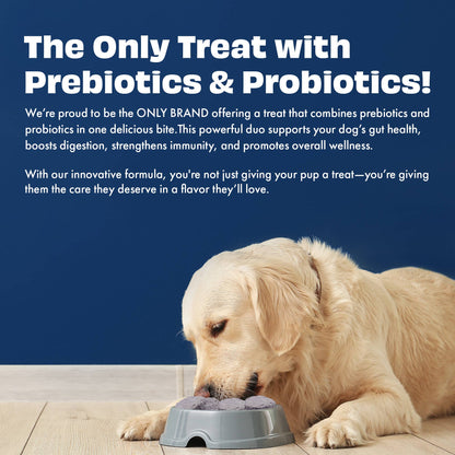 Pawfect Yogurt Melties Pre and Probiotic Dog Treats with Blueberry, Cranberry, Blue Spirulina & Mint | Healthy Gut | Low Calories | Grain & Gluten Free | Reward or Training Treats (38g/1.34oz)