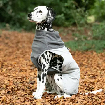Thermal Self Heating Dog Jacket - Grey