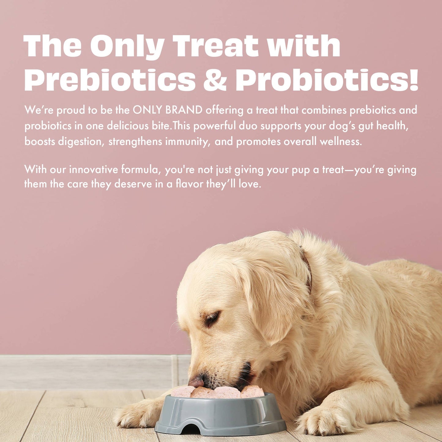 Pawfect Yogurt Melties Pre and Probiotic Dog Treats with Strawberry, Apple, Papaya & Burdock Root | Healthy Gut | Low Calories | Grain & Gluten Free | Reward or Training Treats (38g/1.34oz)