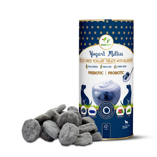 Pawfect Yogurt Melties Pre and Probiotic Dog Treats with Blueberry, Cranberry, Blue Spirulina & Mint | Healthy Gut | Low Calories | Grain & Gluten Free | Reward or Training Treats (38g/1.34oz)
